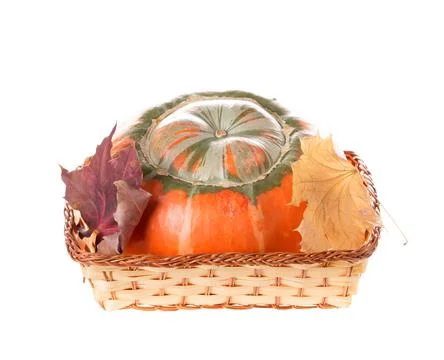 Composition of a pumpkin at the basket. Stock Photos