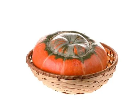 Composition of a pumpkin at the basket. Stock Photos