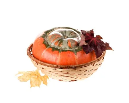 Composition of a pumpkin at the basket. Stock Photos