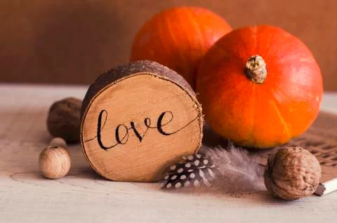 Composition with pumpkin, feather, walnuts. Stock Photos