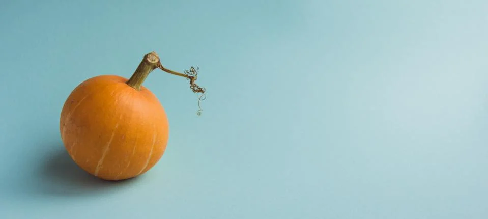 Composition of pumpkin on a red background. The concept of thanksgiving and H Stock Photos