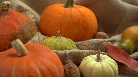 Composition of pumpkin, walnuts and autumn leaves. Falling autumn leaves in slow Stock Footage 142000582