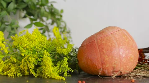 Composition of pumpkins and autumn flowers and berries. Thanksgiving and helluin Stock Footage