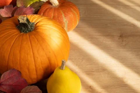 Composition of pumpkins and autumn leaves. Autumn still life. Halloween holid Stock-Fotos