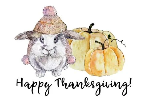 Composition with pumpkins and bunny Stock Illustration