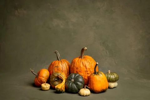 Composition of pumpkins of different color and size with hand-painted background Stock Photos