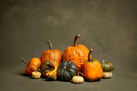 Composition of pumpkins of different color and size with hand-painted background Stock Photos
