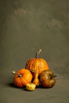 Composition of pumpkins of different color and size with hand-painted background Stock Photos