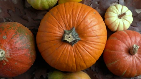 Composition of pumpkins of different colors and sizes and autumn leaves. Autumn Stock Footage 142021584