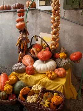 Composition of pumpkins Stock Photos
