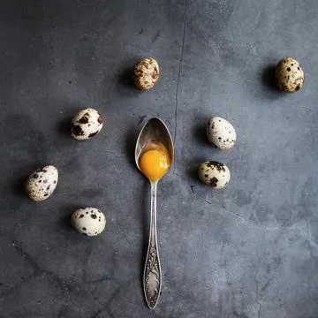 Composition with quail eggs and a spoon with yolk on a gray background. The v Stock Photos