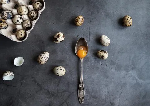 Composition of quail eggs in eco-friendly packaging with a spoon with the yol Stock Photos