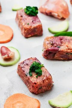 Composition with raw square cutlets on light background. Natural food for dogs Stock Photos