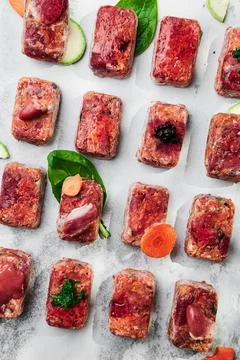 Composition with raw square cutlets on a light background. Natural dog food Stock Photos