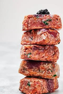 Composition with raw square cutlets on light background. Natural food for dogs Stock Photos