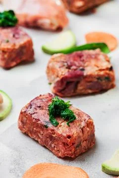 Composition with raw square cutlets on light background. Natural food for dogs Stock Photos