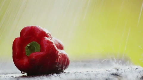 Composition of red fresh pepper in the nature in the rain. Stock Footage 114255833