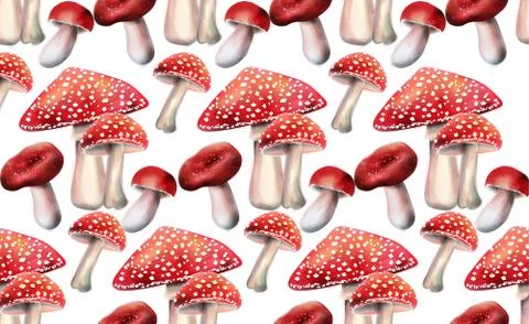 Composition of red mushrooms Stock Illustration
