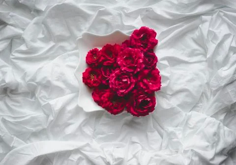 Composition of red roses on a white background Stock Photos