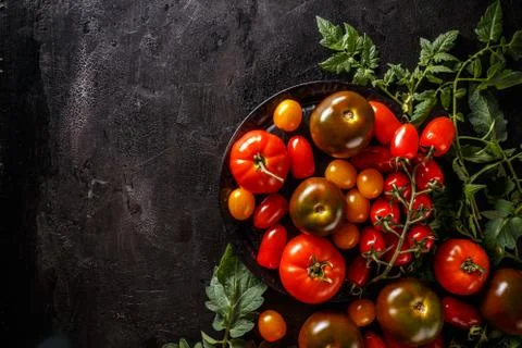 Composition of ripe tomatoes Stock Photos