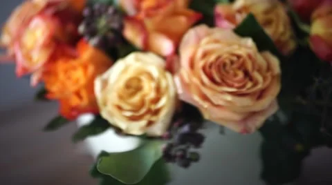 Composition of roses 스톡 동영상 47703091