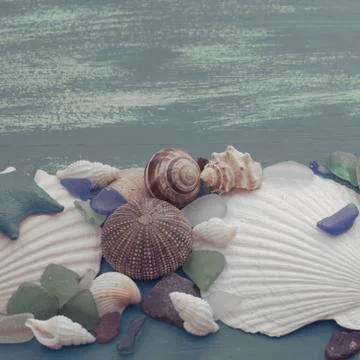 Composition of a set of shells stones pebbles star hedgehog wooden background Stock Photos