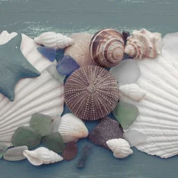 Composition of a set of shells stones pebbles star hedgehog wooden background Stock Photos