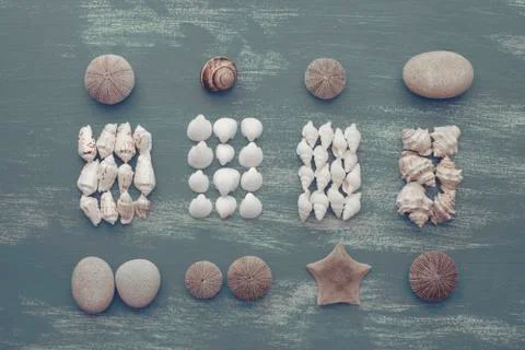 Composition of a set of shells stones pebbles star hedgehog wooden background Stock Photos