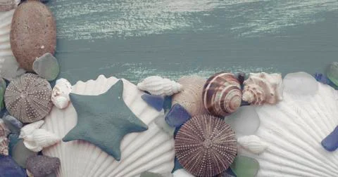 Composition of a set of shells stones pebbles star hedgehog wooden background Stock Photos