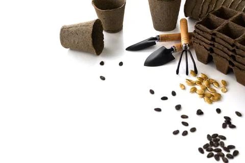Composition of a set of tools for planting seedlings at home. Stock Photos