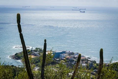 Composition of ships moored in the background with a cactus in the foregrou.. Stock Photos
