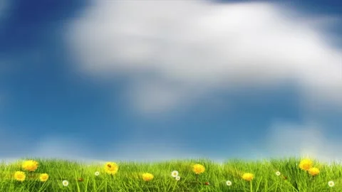 Composition shows a neutral soft clouds time lapse and springtime flowers Stock Footage 160655533