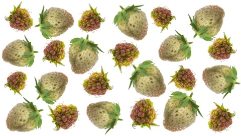 A composition of simultaneously ripening strawberries and raspberries on white Stock-Footage 131531550