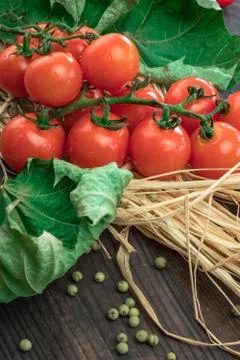 Composition of small red cherry tomatoes on an old wooden table in a rustic s Stock Photos