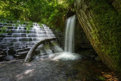 Composition of stepped dam waterfall trunk and moss Stock Photos