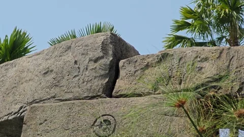 A composition of stones with a texture. Stock Footage 309022787