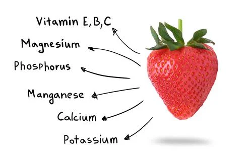 Composition of strawberry fruit on chemical elements and vitamins Stock Photos