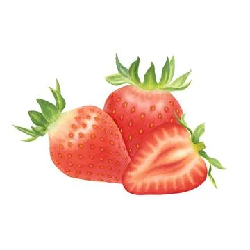 Composition of strawberry halves isolated on white background. Watercolor Stock Illustration