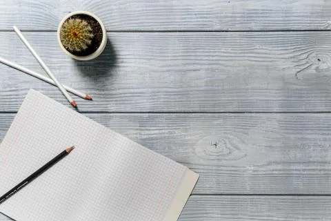 Composition with a surface from boards, a notebook, pencils and a cactus. Stock Photos