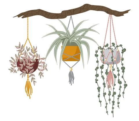 A composition with suspended flowers. Set hand drawn vector isolated elements Stock Illustration