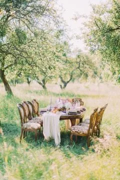 The composition of the table layout placed in the green field and the table is Stock Photos