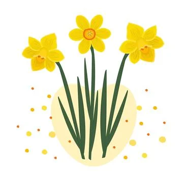 Composition of three daffodils Stock Illustration