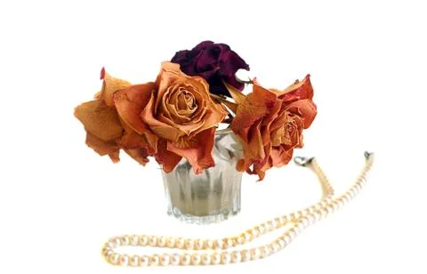 Composition of three dried roses and string of pearls Stock Photos