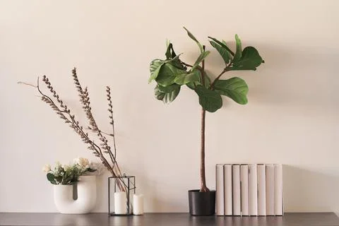 A composition of three plants in vases and pots. Flowers in interior design Foto stock