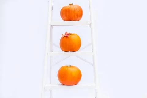 Composition of Three pumpkins with maple leaf on stairs on the steps of crope Stock Photos