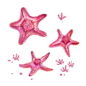 The composition of the three sea stars. Stock Illustration