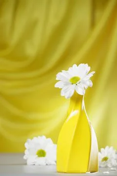 Composition of three white chrysanthemums with a vase on a yellow-gray backgr Stock Photos