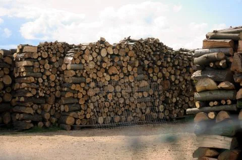 Composition of timber on fuel Stock Photos