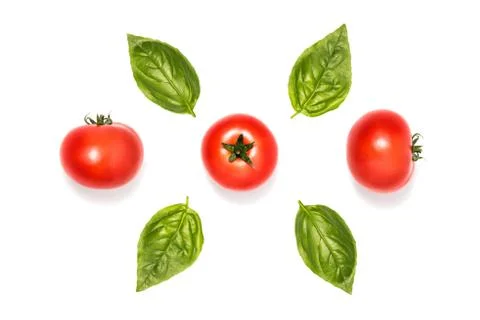 Composition of tomatoes with basil leaves Photos