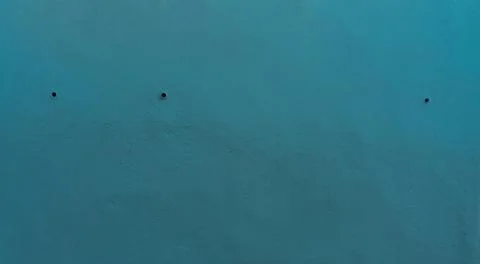 Composition with turquoise blue background Stock Photos